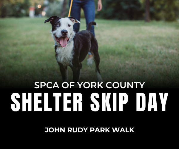 ShelterSkipDayYork